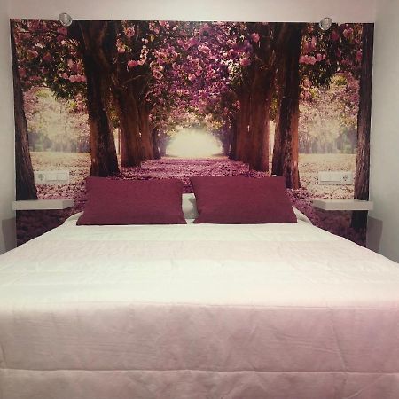 Apartamento De Lola Setenil De Las Bodegas Eksteriør billede